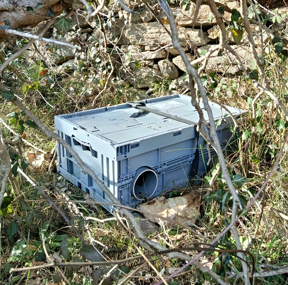 Cámara de fototrampeo para micromamíferos